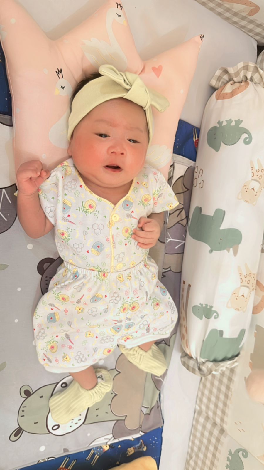 0e11fd75-c208-45c8-90be-b32ec432a985